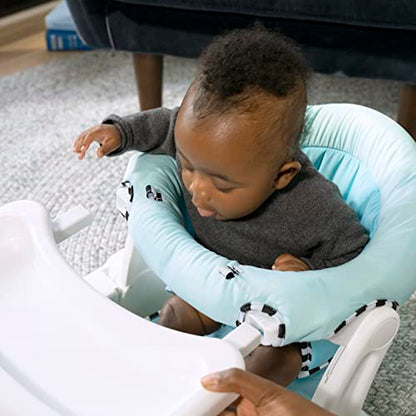 Baby Einstein 2-in-1 -vauvaistuin Sea of Support