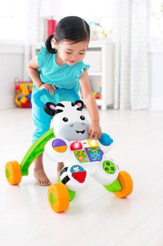 Fisher-Price Zebra kõndimistugi – muusika ja tuledega alates 6. elukuust, sebra