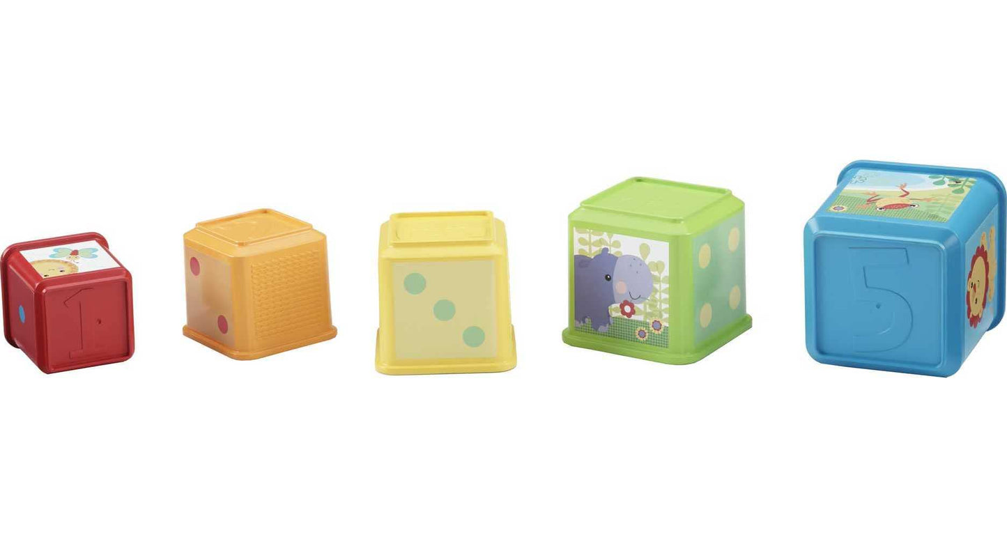Fisher-Price Stack & Explore virnastamis- ja pesemisklotsid (5 tk), alates 6. elukuust
