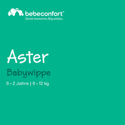 Bebeconfort Aster beebikiik/bouncer, 0–2 a, 2,7 kg, Tinted Graphite