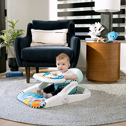 Baby Einstein 2-in-1 -vauvaistuin Sea of Support