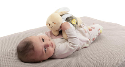 Chicco My Sweet Doudou soojendatav kaisujänes koolikute leevendamiseks, 0+