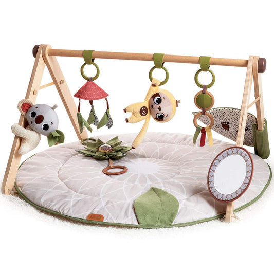 Tiny Love Luxe Developmental Gymini mängumatt, Boho Chic, 0+ kuud