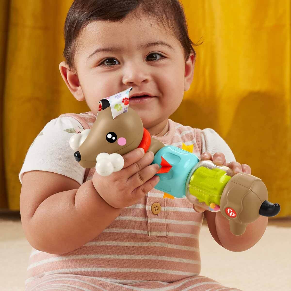 Fisher-Price FP Pets Click & Spin tegevuskoer, beebide motoorikamänguasi 6+ kuud