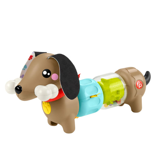 Fisher-Price FP Pets Click & Spin tegevuskoer, beebide motoorikamänguasi 6+ kuud