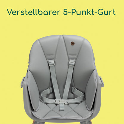 Bebeconfort Avista 2 4-ühes söögitool, Tinted Grey