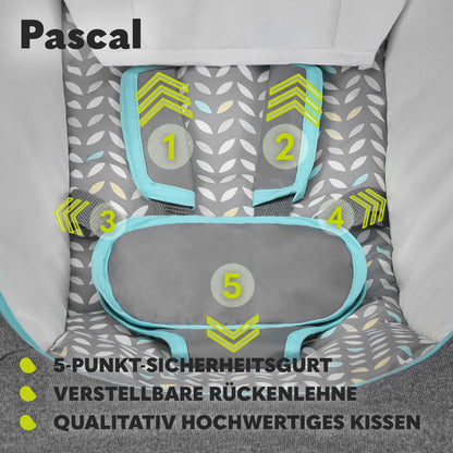 Lionelo Pascal vibreeriv beebi kiiktool, meloodiate ja mängukarusselliga, Grey Dove