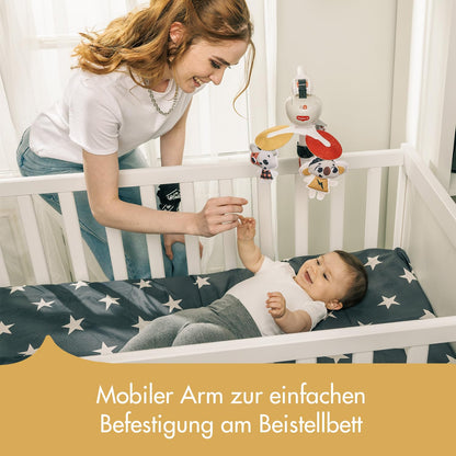 Tiny Love kaasaskantav muusikaline voodikarussell 3-in-1 Tiny Rockers, 0+ kuud