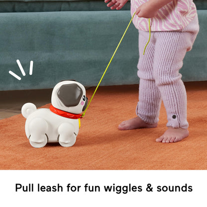 Fisher-Price FP Pets Walk-The-Pup Pug veetav mängukoer heli ja liikumisega, 12+ kuud