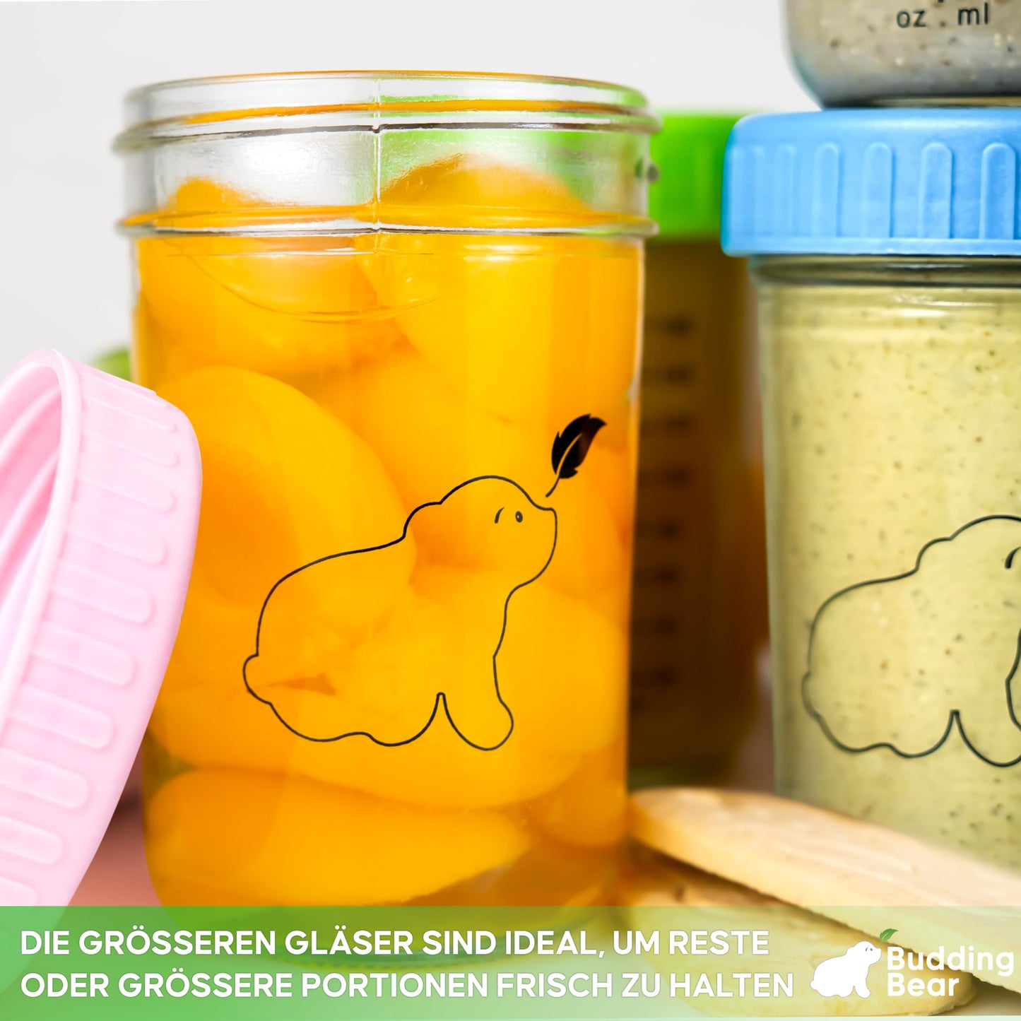 Budding Bear 240 ml klaasist beebitoidu säilituspurkide komplekt, 6 tk, BB-JARS03