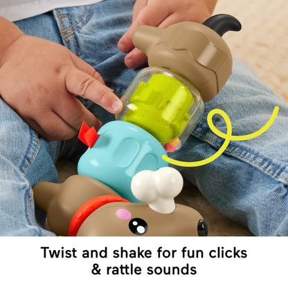Fisher-Price FP Pets Click & Spin tegevuskoer, beebide motoorikamänguasi 6+ kuud