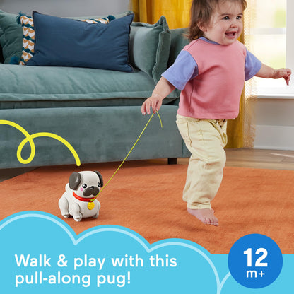 Fisher-Price FP Pets Walk-The-Pup Pug veetav mängukoer heli ja liikumisega, 12+ kuud