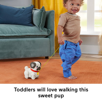 Fisher-Price FP Pets Walk-The-Pup Pug veetav mängukoer heli ja liikumisega, 12+ kuud