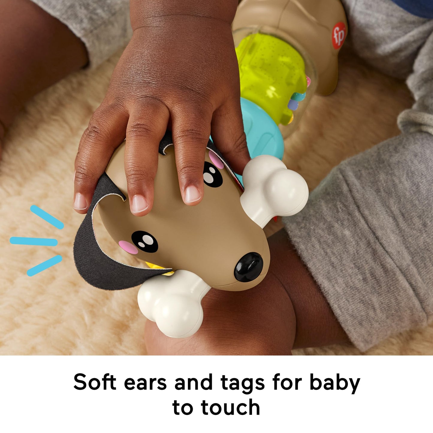 Fisher-Price FP Pets Click & Spin tegevuskoer, beebide motoorikamänguasi 6+ kuud