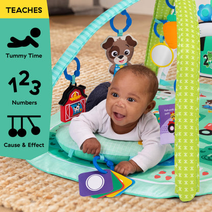 Baby Einstein Kickin Tunes Farm Explorers 4-ühes mängumatt klaveriga, roheline