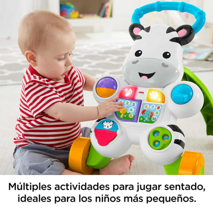 Fisher-Price Learn with Me Zebra käimistugi, muusikaline tegevusmänguasi, alates 6 kuust
