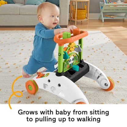 Fisher-Price 2in1 Steady Panda käimisraam - kahesuunaline, muusikaga ja õppefunktsioonidega (6 kuud - 3 a)