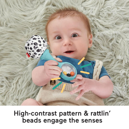 Fisher-Price Rattle ‘n Rock Maracas kõristid, 2 tk, 3+ kuud