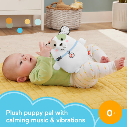 Fisher-Price Calming Vibes Puppy rahustav kaisuloom helide ja vibratsiooniga, 0+ kuud