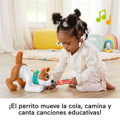 Fisher-Price 123 Crawl with Me Puppy roomav mängukoer HGY57