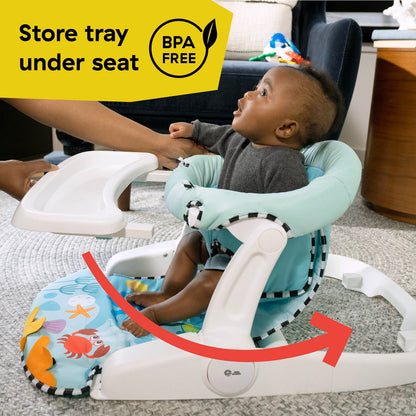 Baby Einstein 2-in-1 -vauvaistuin Sea of Support